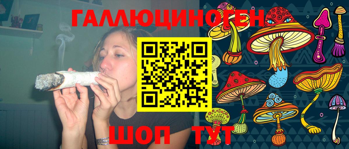 Псилоцибиновые грибы Psilocybine cubensis Воткинск
