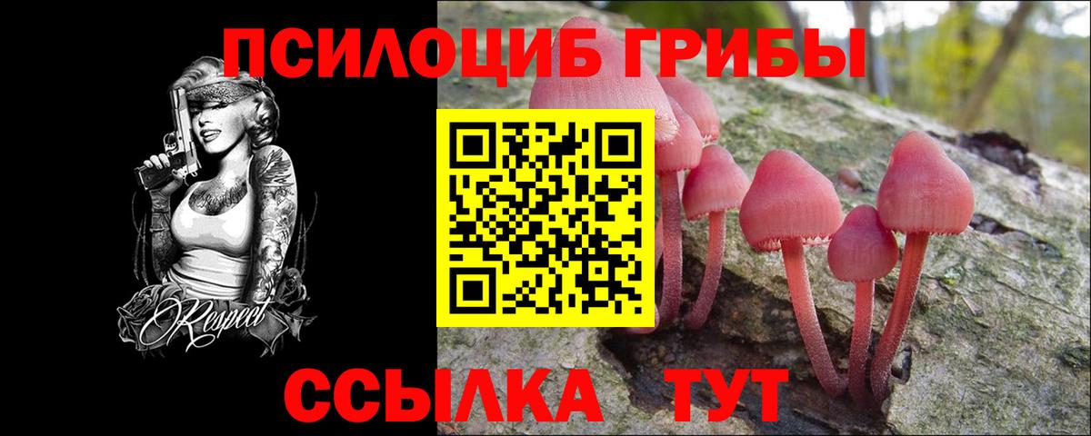 Воткинск  Галлюциногенные грибы MAGIC MUSHROOMS  продажа наркотиков  Вход с VPN 